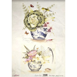 copy of 